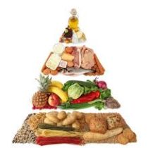 food pyramid