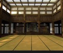 dojo